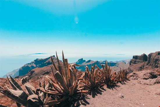  Tenerife  