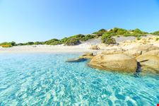 Molentis_474504385