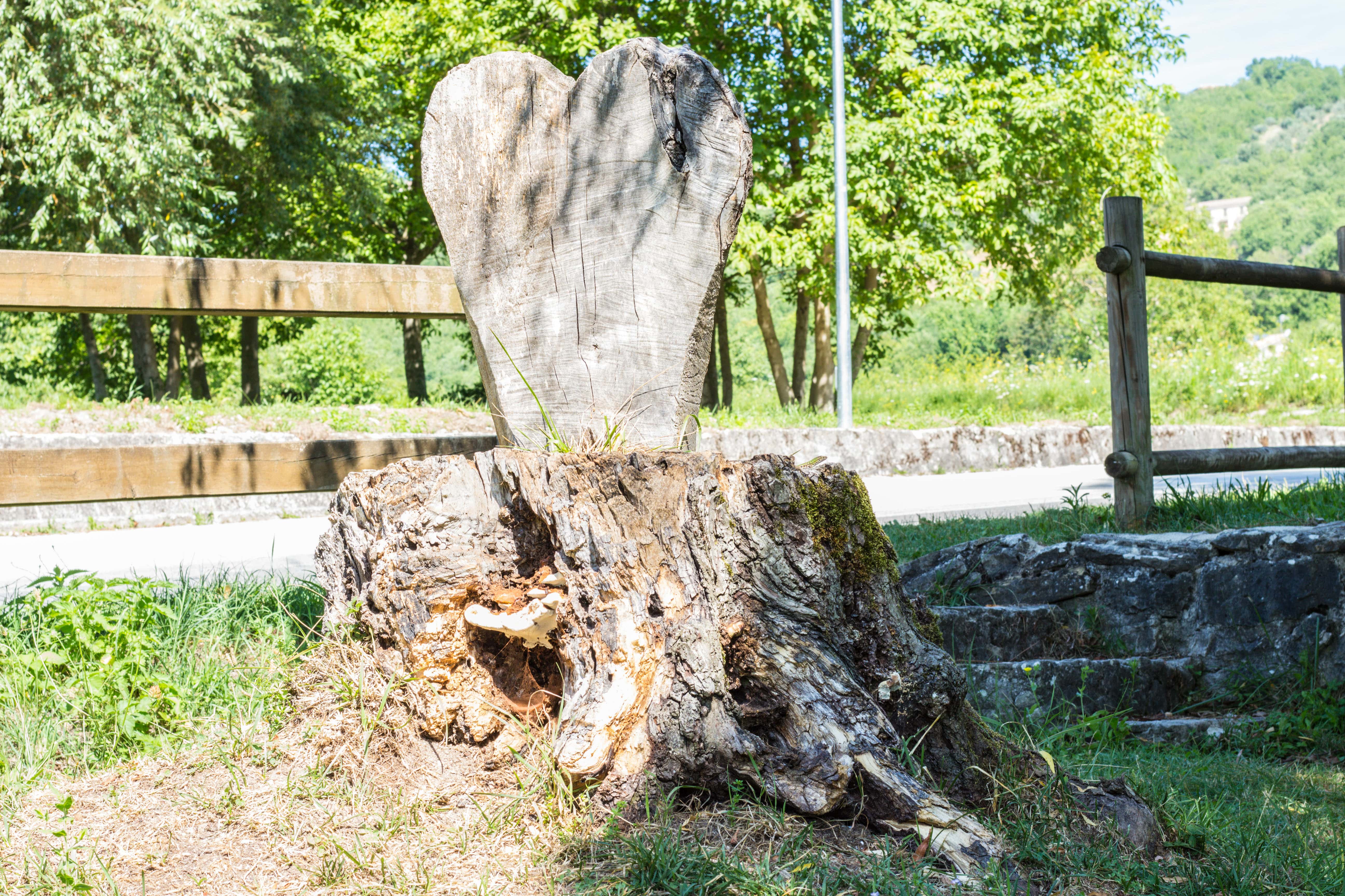 Molise_282203847-min.jpeg