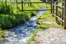 Molise_282204118-min.jpeg