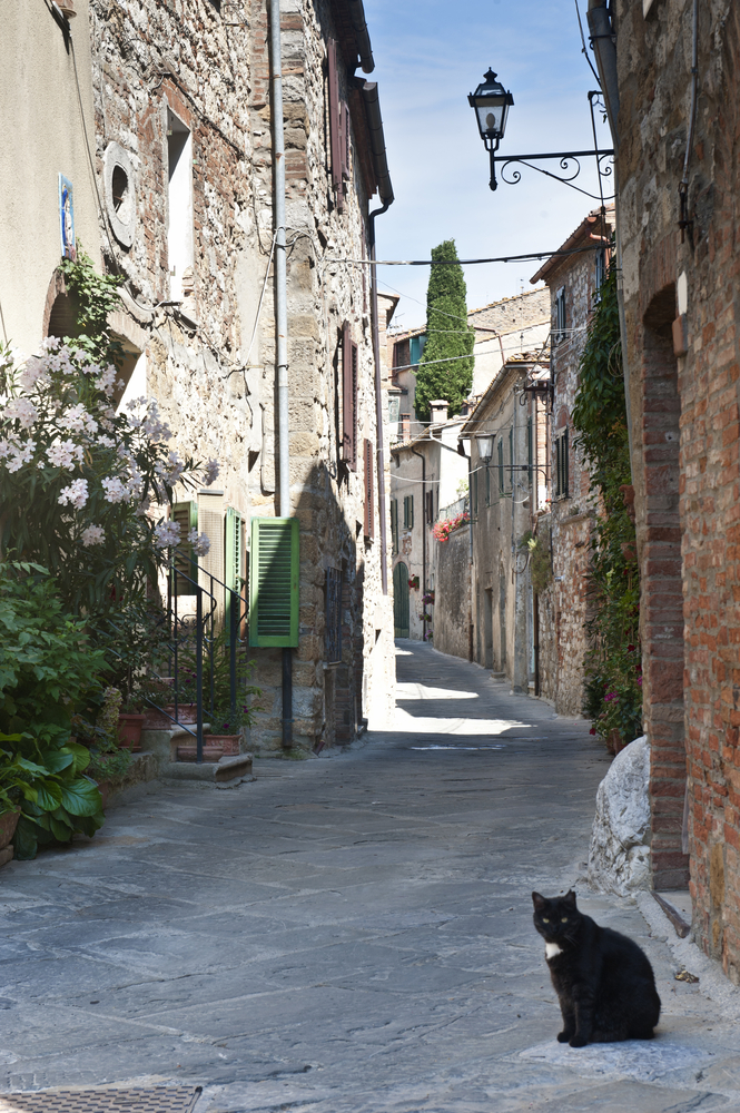 Montefollonico_101350201