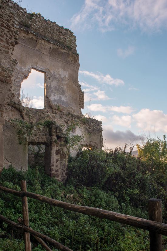 Monterano_414747898-min.jpeg Monterano_414747898-min.jpeg  
