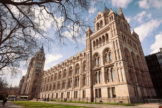 Museo di Storia Naturale Londra_137917301 Museo di Storia Naturale Londra_137917301  