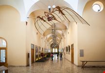 Museo Nazionale della Scienza e della Tecnologia Leonardo da Vinci_521279341