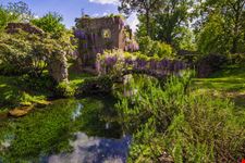 Ninfa_144689480-min.jpeg