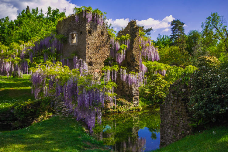 Ninfa_1