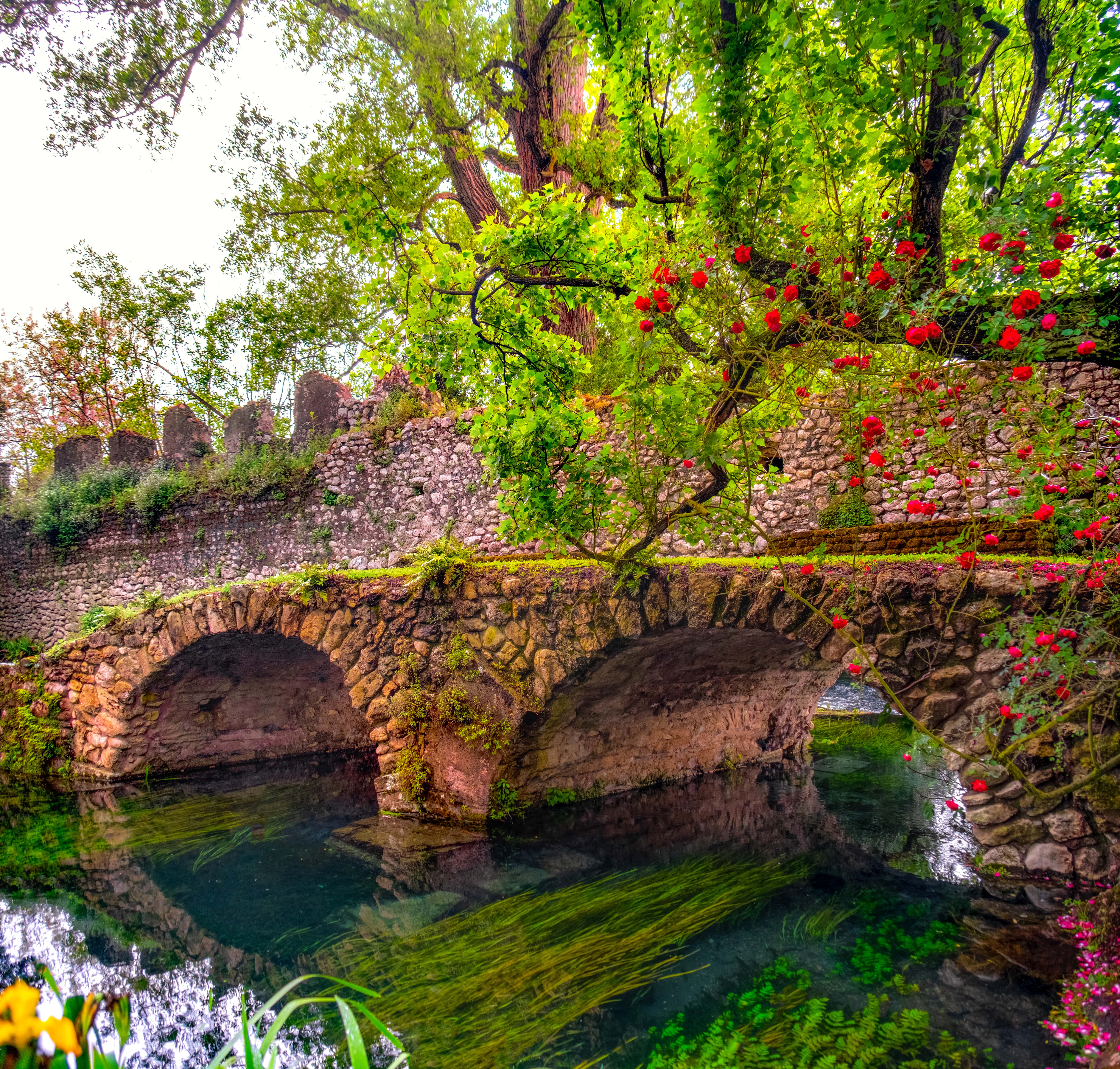 Ninfa_267386511-min.jpeg