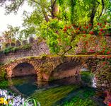 Ninfa_267386511-min.jpeg
