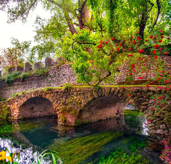 Ninfa_267386511-min.jpeg Ninfa_267386511-min.jpeg  