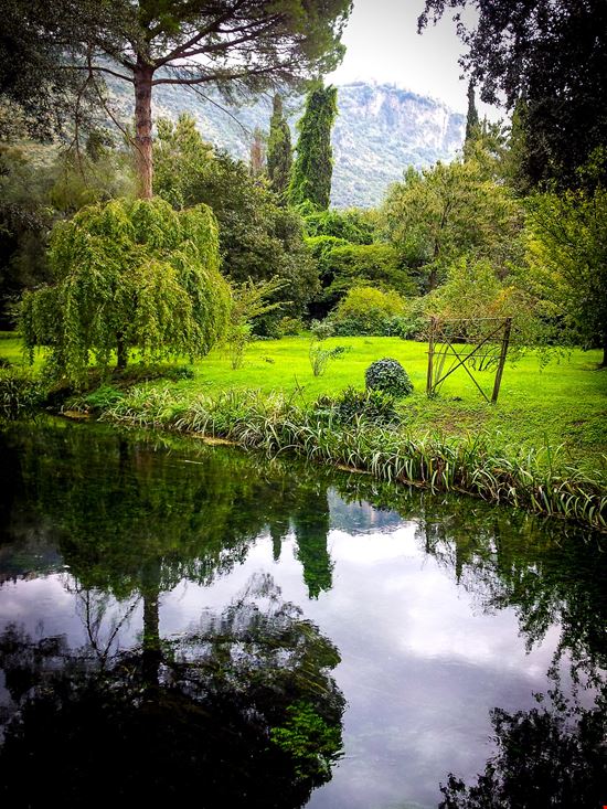 Ninfa_342900918-min.jpeg Ninfa_342900918-min.jpeg  