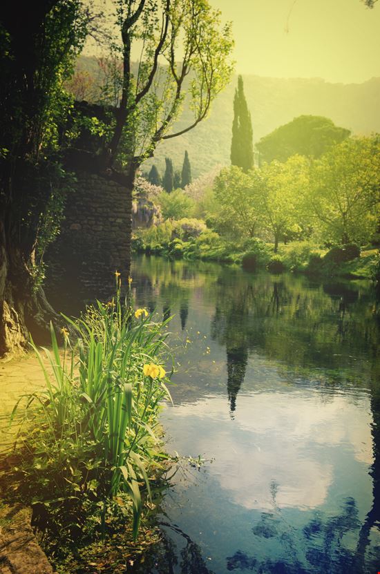 Ninfa_82552365-min.jpeg Ninfa_82552365-min.jpeg  