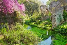 Ninfa_82686495-min.jpeg