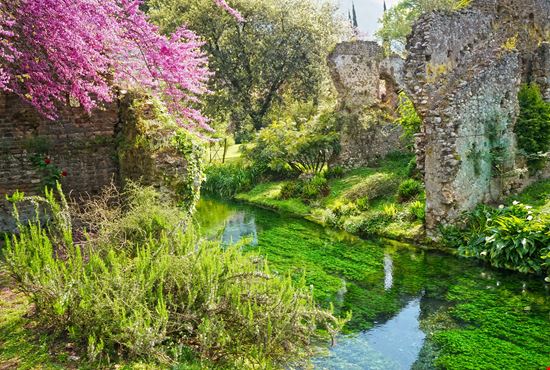 Ninfa_82686495-min.jpeg Ninfa_82686495-min.jpeg  