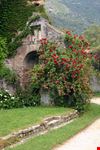 Ninfa_991151-min.jpeg