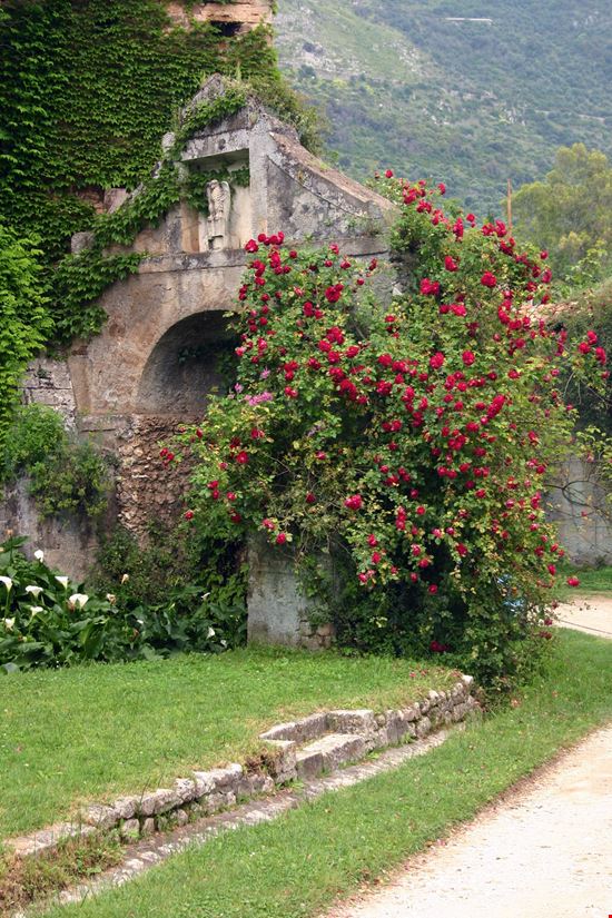Ninfa_991151-min.jpeg Ninfa_991151-min.jpeg  