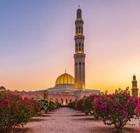 oman_1894033546 oman_1894033546