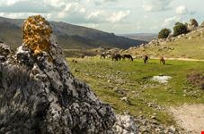 Orgosolo_supramonte
