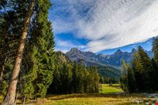 paneveggio_in_autunno