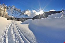 Parco_di_Paneveggio