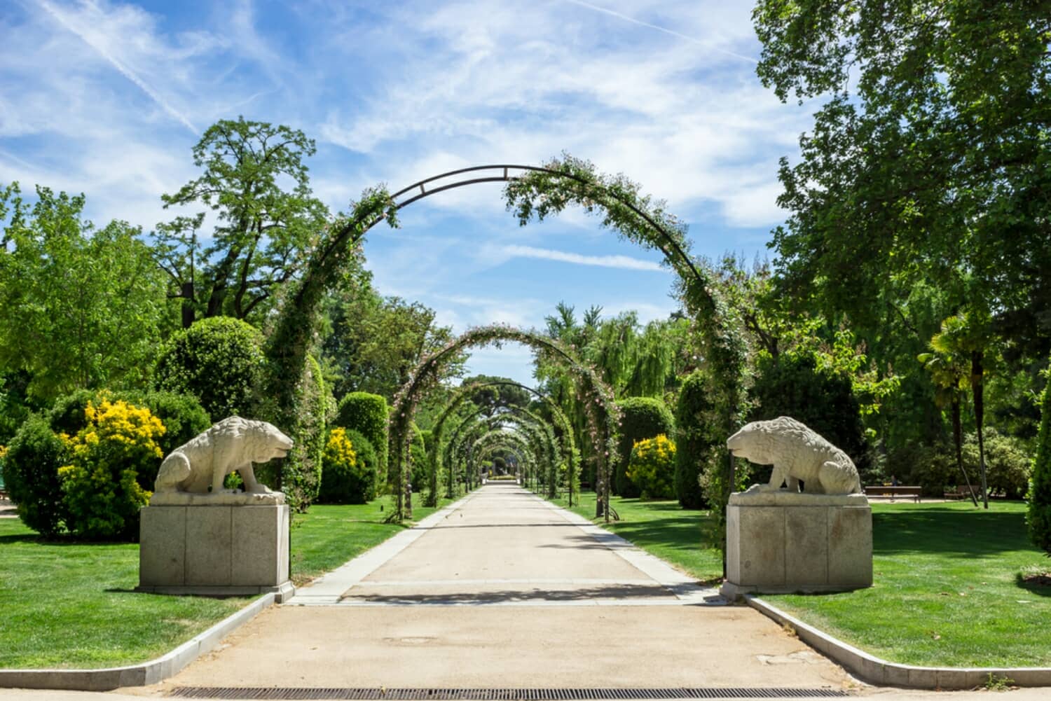 Parque del Retiro_569521672