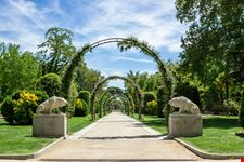 Parque del Retiro_569521672