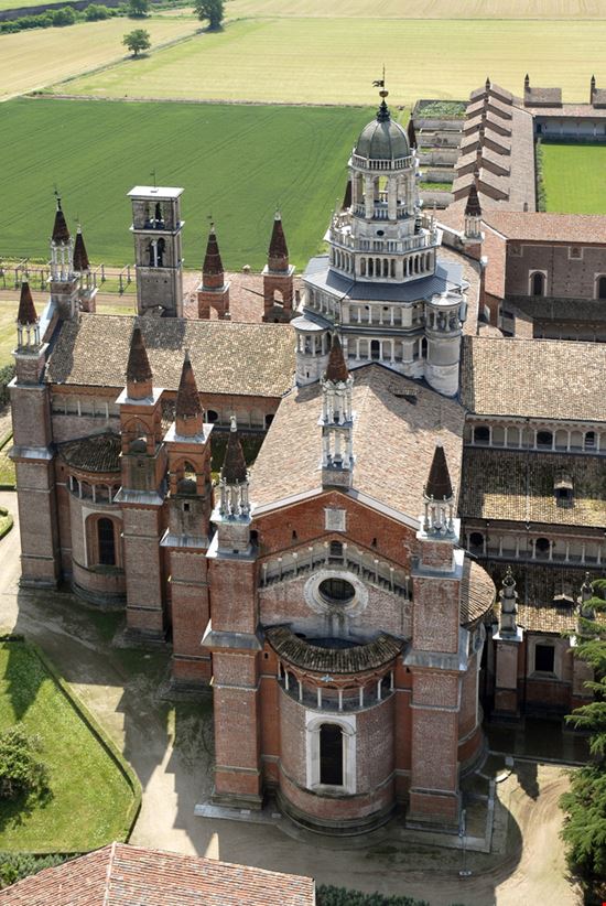 Pavia_39823219 Pavia_39823219  