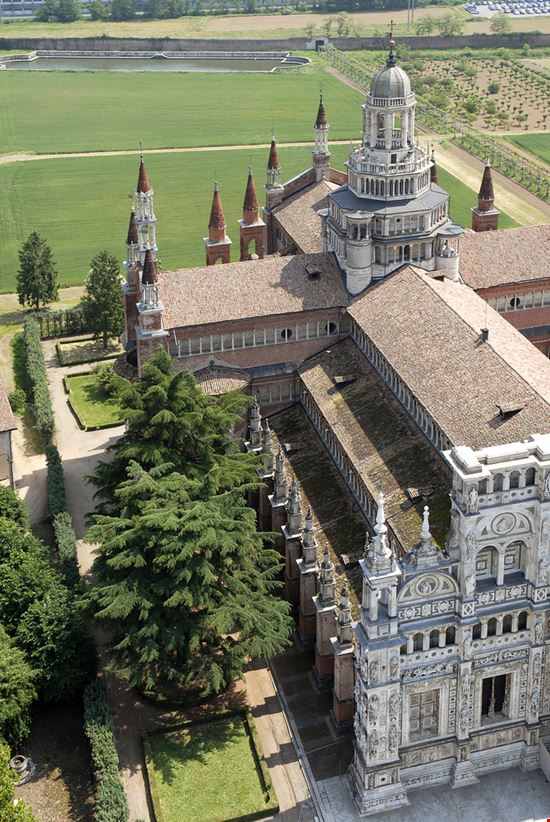 Pavia_39823255 Pavia_39823255  