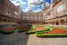 Pavia_certosa_55207665-min.jpeg