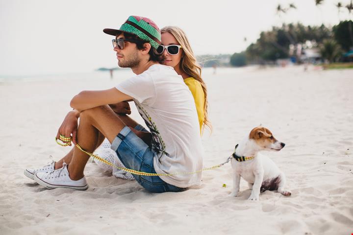 Pet_277991174