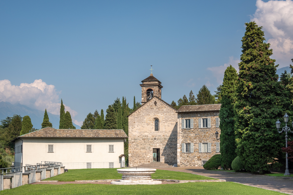 Piona_1636451365