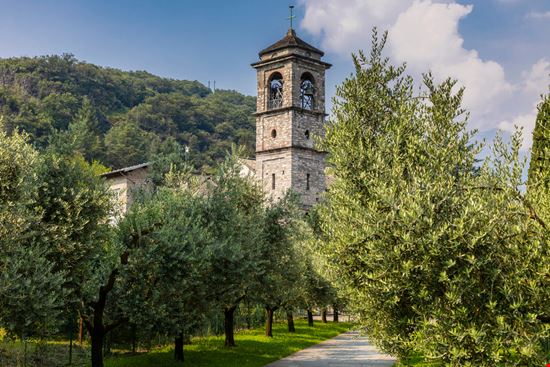 Piona_1667790979 Piona_1667790979  