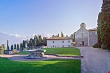 Piona_1718702812