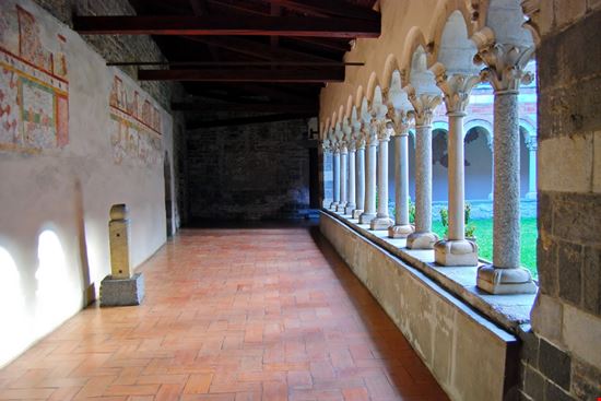 Piona_594787103 Piona_594787103  