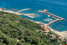 Pisciotta_1579897342