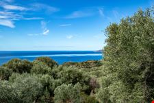 Pisciotta_1706191867