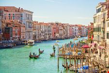 ponte di rialto_438167347