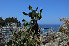 Ponza_1509660824