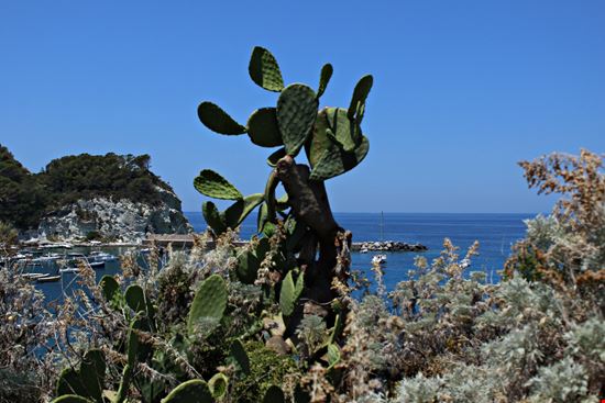 Ponza_1509660824 Ponza_1509660824  