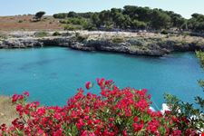porto badisco_1861141633