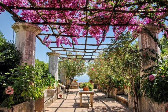 positano-primavera positano-primavera  