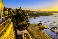 Quercetano_1138741397