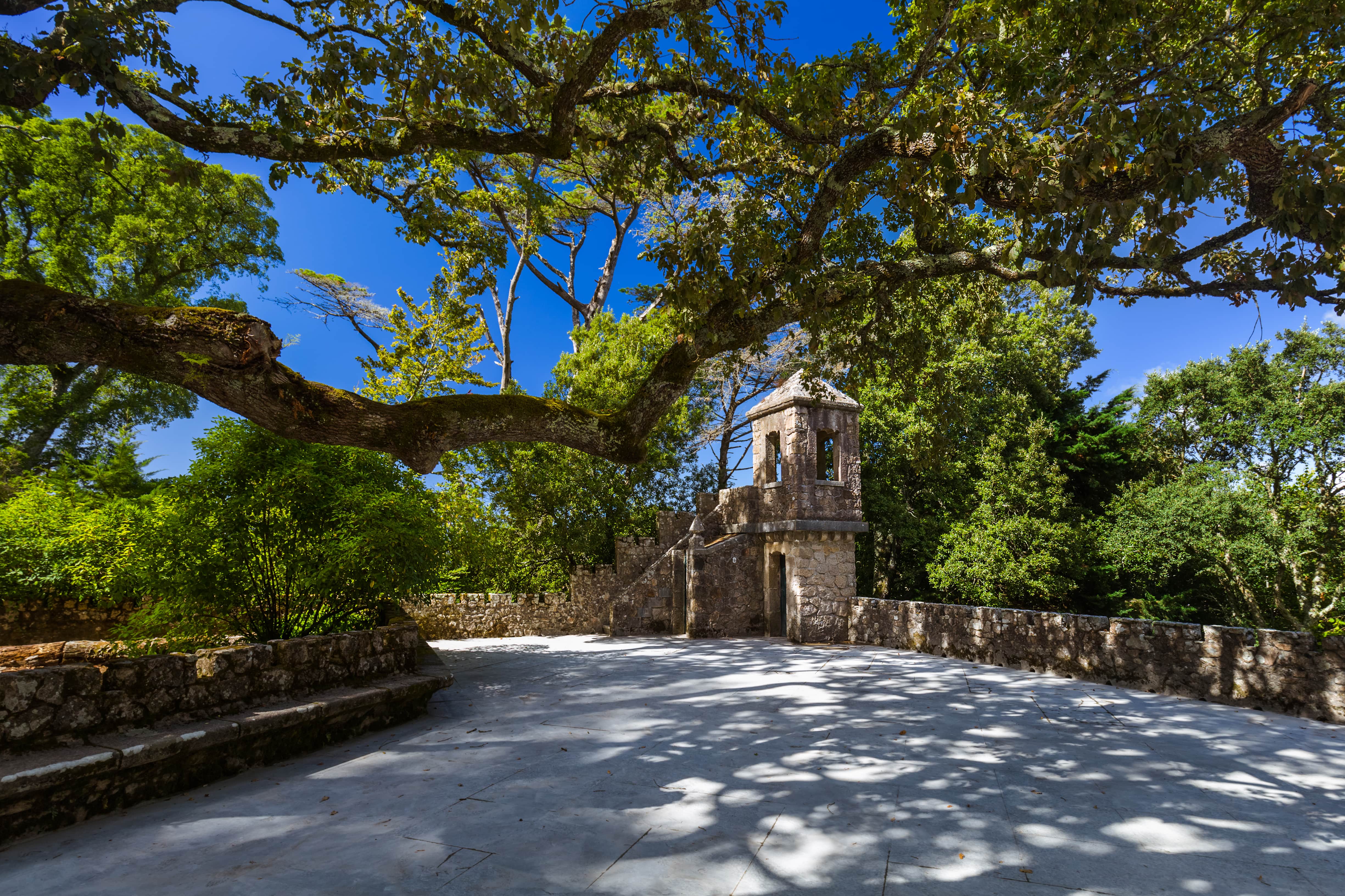 Quinta_Regaleira_406623531-min.jpeg