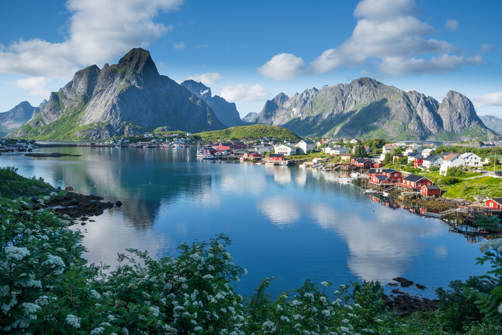 Reine_1011785392