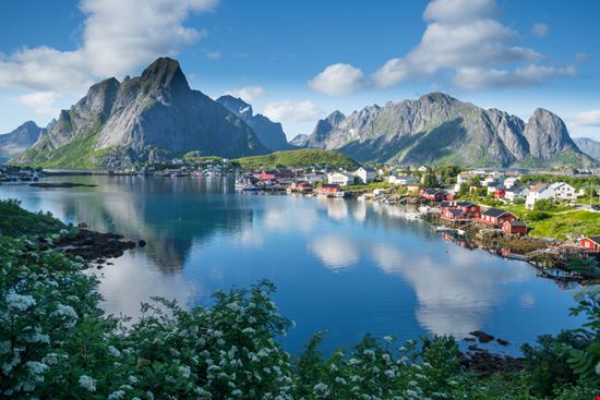 Reine_1011785392 Reine_1011785392  