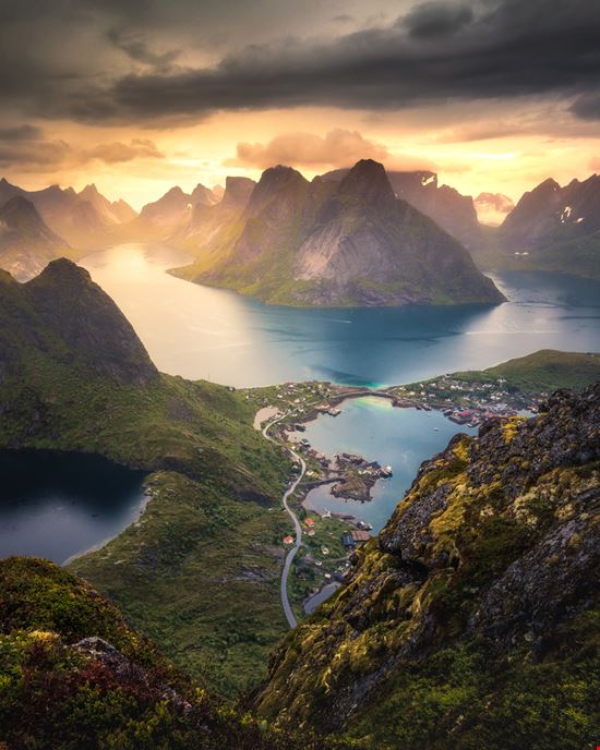 Reine_705701431 Reine_705701431  