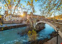Roma_239890207-min.jpeg