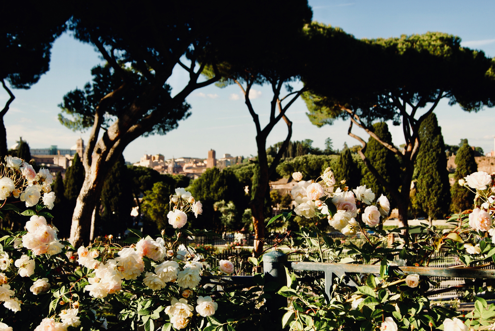 roseto di roma_1278269524