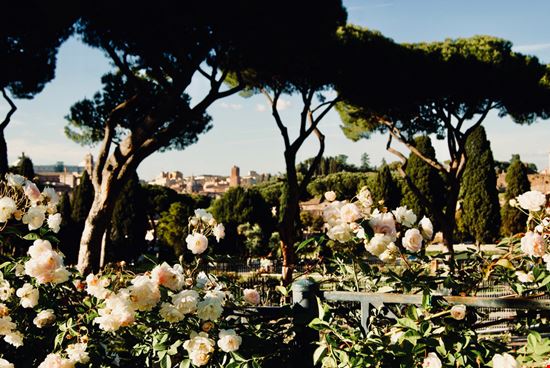 roseto di roma_1278269524 roseto di roma_1278269524  