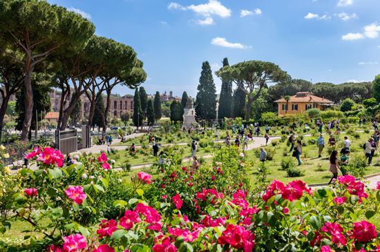 roseto di roma_1751612969 roseto di roma_1751612969  