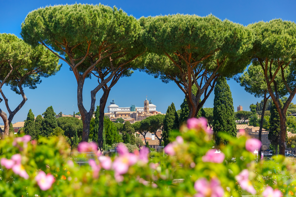 roseto di roma_656009122